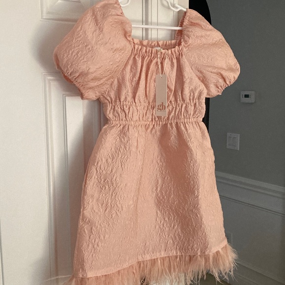 New w Tag: GB Girls Jacquard Puff Sleeve Dress with Feather Hemline. Size 6 - Picture 4 of 13